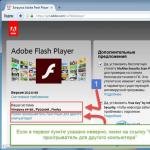 Инструкция, как обновить устаревший плагин Adobe Flash Player